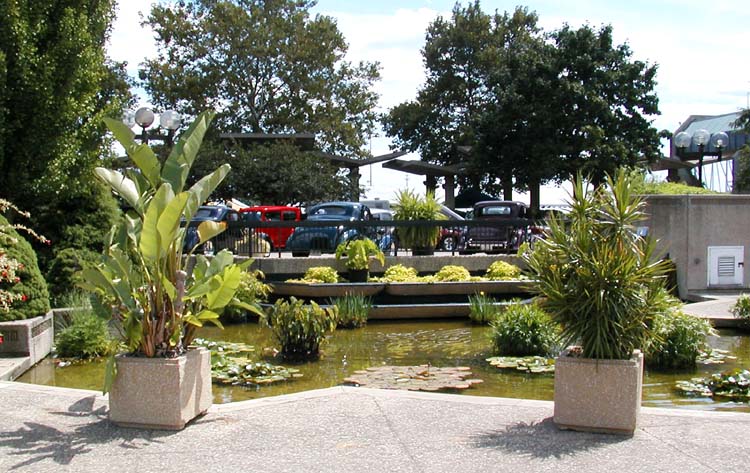 Water Garden